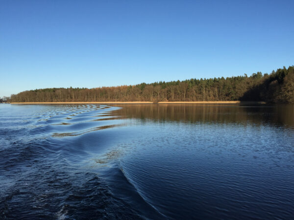 FLORA_FAUNA_2024_-77